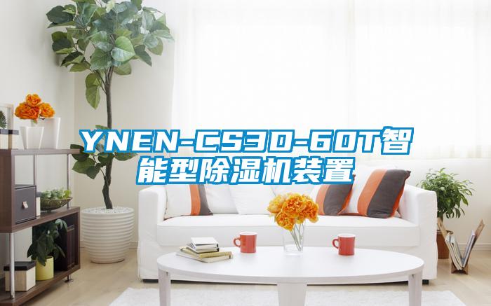 YNEN-CS3D-60T智能型茄子视频懂你更多在线观看装置