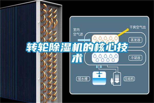 转轮茄子视频懂你更多在线观看的核心技术