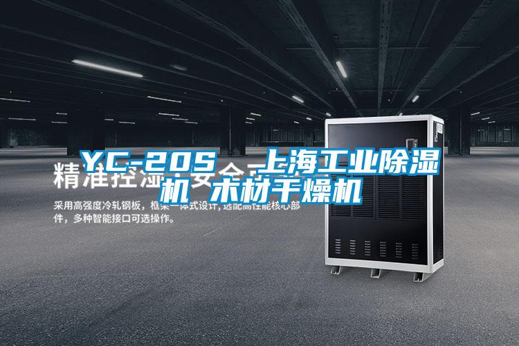 YC-20S  上海工业茄子视频懂你更多在线观看 木材干燥机