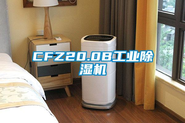 CFZ20.0B工业茄子视频懂你更多在线观看