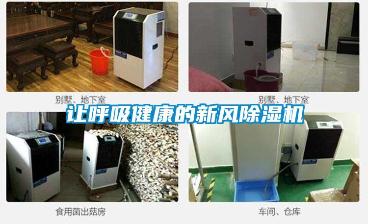 让呼吸健康的新风茄子视频懂你更多在线观看