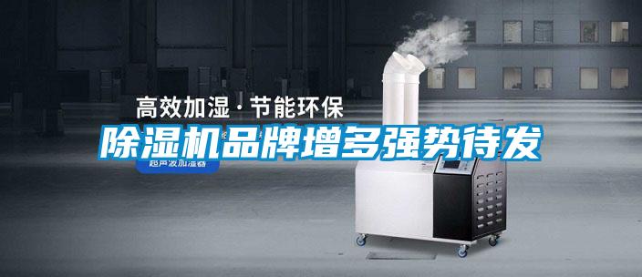 茄子视频懂你更多在线观看品牌增多强势待发