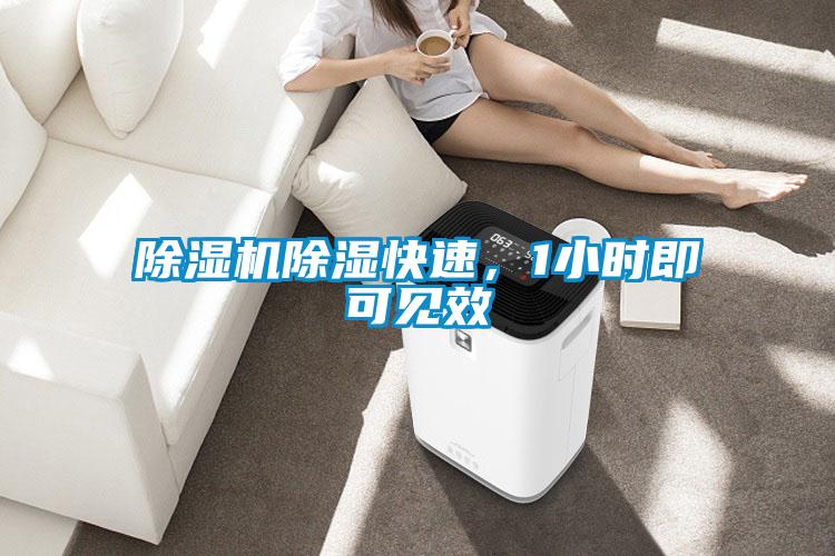 茄子视频懂你更多在线观看除湿快速，1小时即可见效