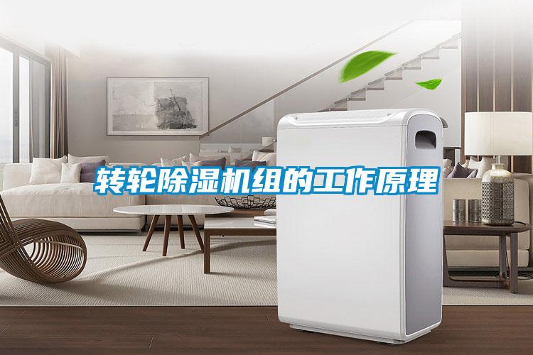 转轮茄子视频懂你更多在线观看组的工作原理