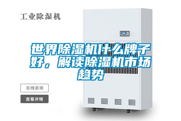 世界茄子视频懂你更多在线观看什么牌子好，解读茄子视频懂你更多在线观看市场趋势