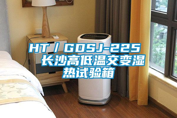 HT/GDSJ-225 长沙高低温交变湿热试验箱