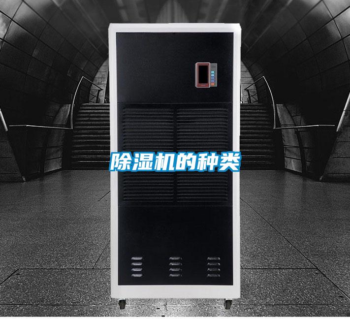 茄子视频懂你更多在线观看的种类