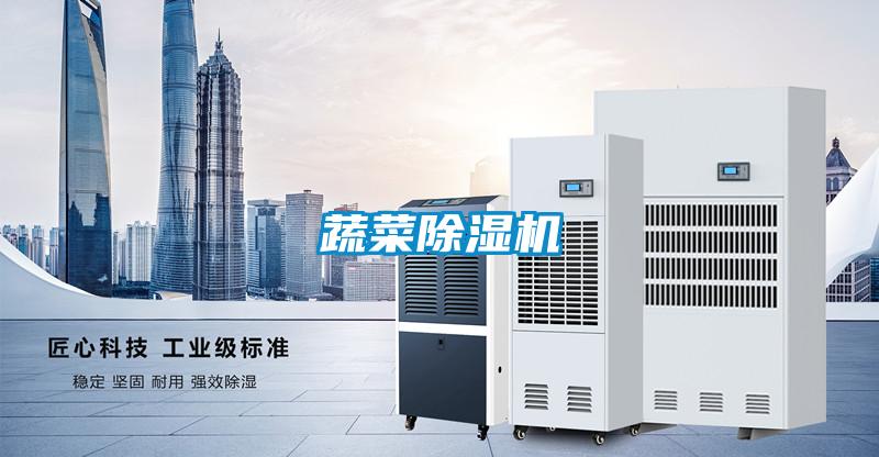 蔬菜茄子视频懂你更多在线观看