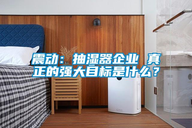 震动：抽湿器企业 真正的强大目标是什么？