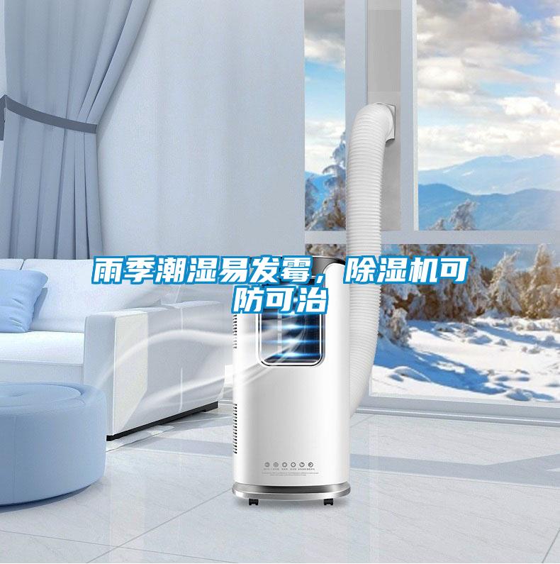 雨季潮湿易发霉，茄子视频懂你更多在线观看可防可治