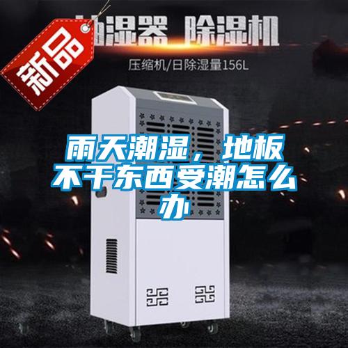 雨天潮湿，地板不干东西受潮怎么办