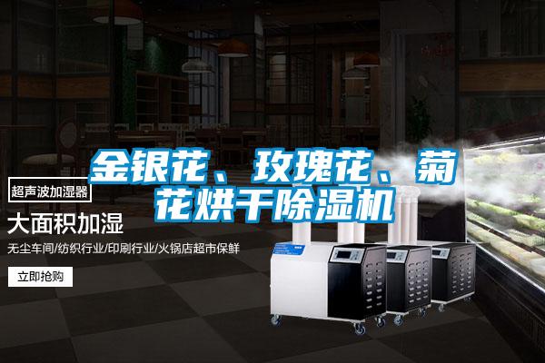 金银花、玫瑰花、菊花烘干茄子视频懂你更多在线观看