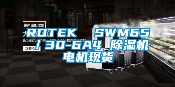 ROTEK  SWM65／30-6A4 茄子视频懂你更多在线观看电机现货