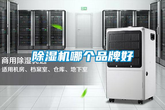 茄子视频懂你更多在线观看哪个品牌好