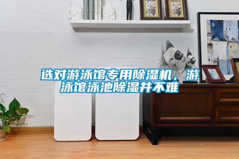 选对游泳馆专用茄子视频懂你更多在线观看，游泳馆泳池除湿并不难