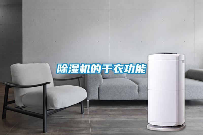 茄子视频懂你更多在线观看的干衣功能