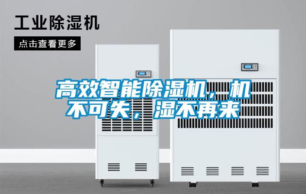 高效智能茄子视频懂你更多在线观看，机不可失，湿不再来