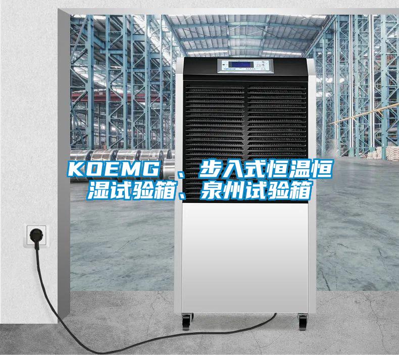 KOEMG 、步入式恒温恒湿试验箱、泉州试验箱