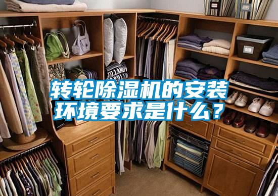 转轮茄子视频懂你更多在线观看的安装环境要求是什么？