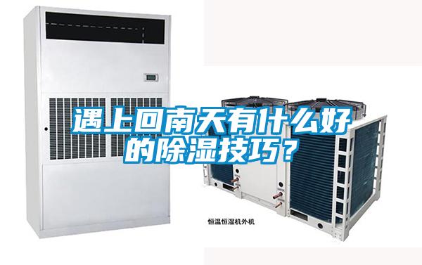 遇上回南天有什么好的除湿技巧？