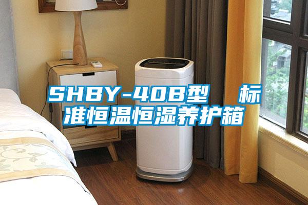 SHBY-40B型 标准恒温恒湿养护箱