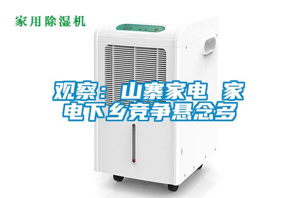 观察：山寨家电 家电下乡竞争悬念多