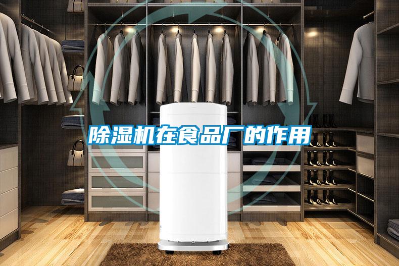 茄子视频懂你更多在线观看在食品厂的作用