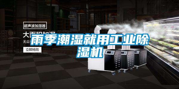 雨季潮湿就用工业茄子视频懂你更多在线观看