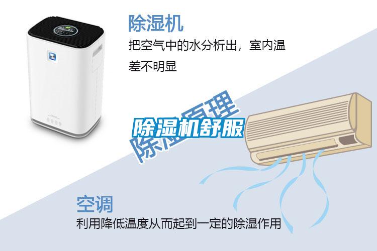 茄子视频懂你更多在线观看舒服