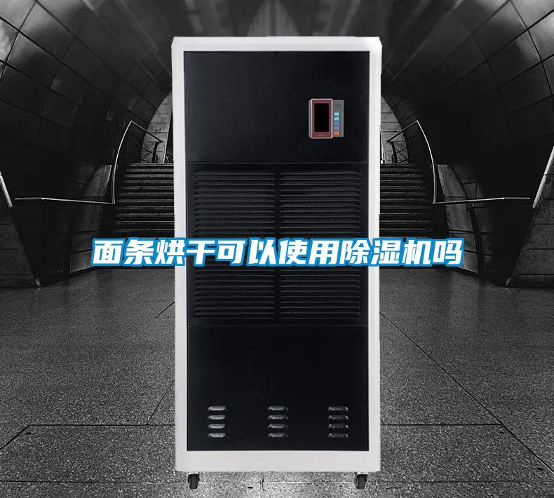 面条烘干可以使用茄子视频懂你更多在线观看吗