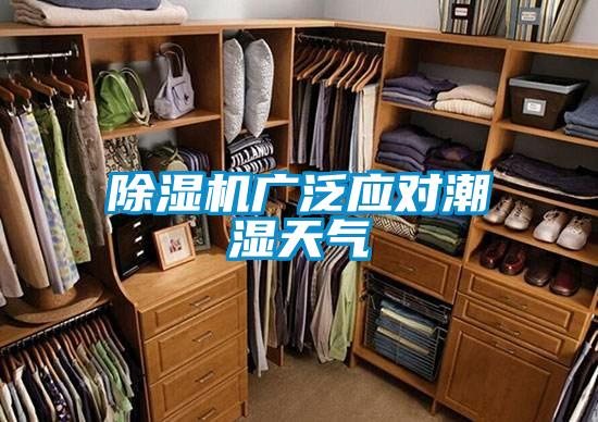 茄子视频懂你更多在线观看广泛应对潮湿天气