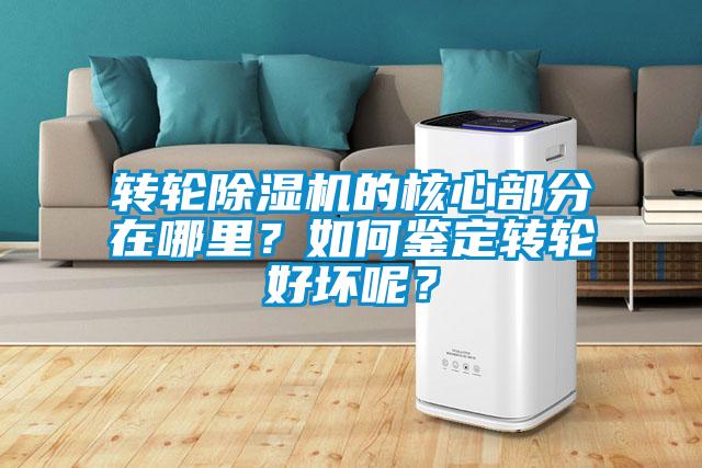 转轮茄子视频懂你更多在线观看的核心部分在哪里？如何鉴定转轮好坏呢？