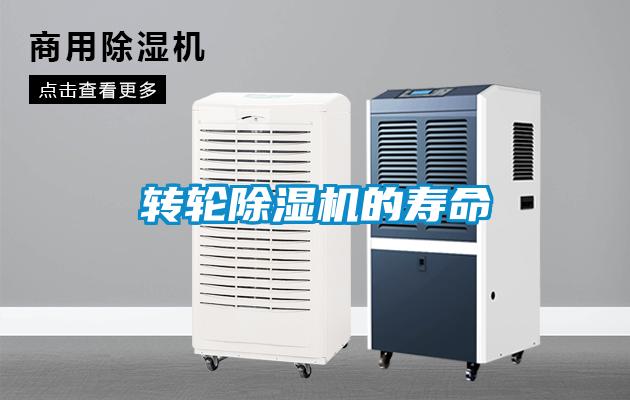 转轮茄子视频懂你更多在线观看的寿命