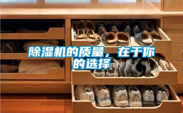 茄子视频懂你更多在线观看的质量，在于你的选择