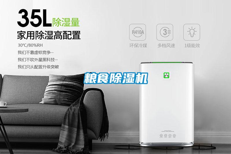 粮食茄子视频懂你更多在线观看