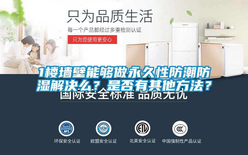 1楼墙壁能够做永久性防潮防湿解决么？是否有其他方法？