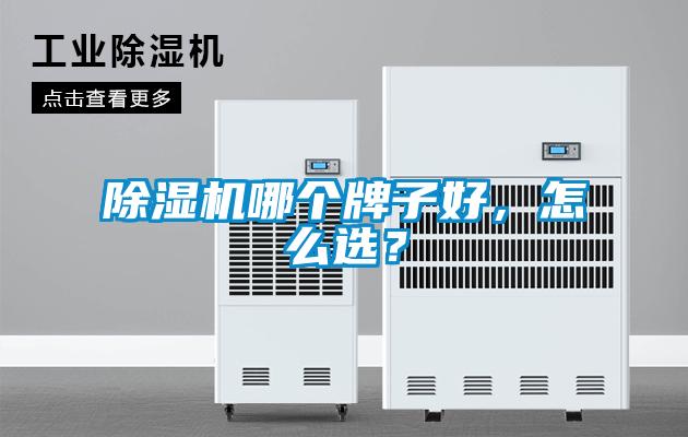 茄子视频懂你更多在线观看哪个牌子好，怎么选？