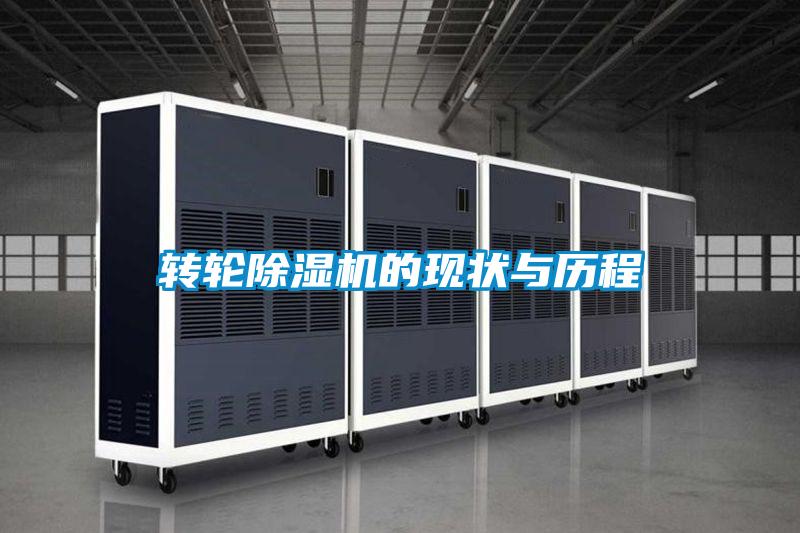 转轮茄子视频懂你更多在线观看的现状与历程