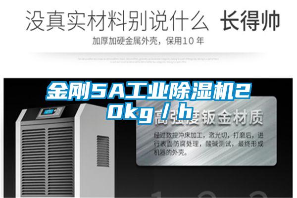 金刚5A工业茄子视频懂你更多在线观看20kg／h