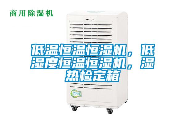 低温恒温恒湿机，低湿度恒温恒湿机，湿热检定箱