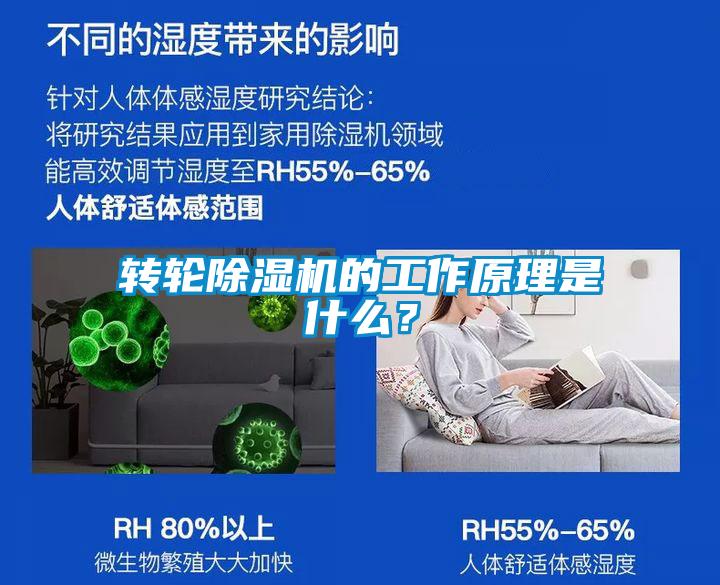 转轮茄子视频懂你更多在线观看的工作原理是什么？