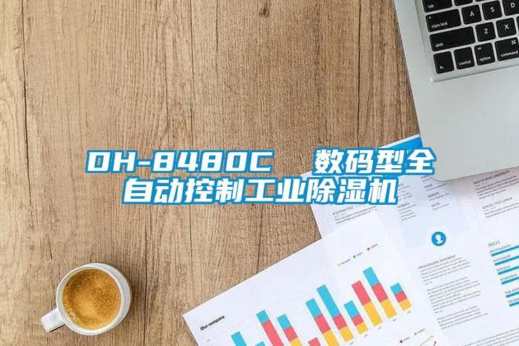 DH-8480C  数码型全自动控制工业茄子视频懂你更多在线观看