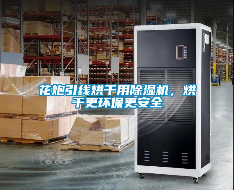 花炮引线烘干用茄子视频懂你更多在线观看，烘干更环保更安全