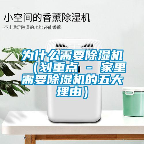 为什么需要茄子视频懂你更多在线观看（划重点 - 家里需要茄子视频懂你更多在线观看的五大理由）
