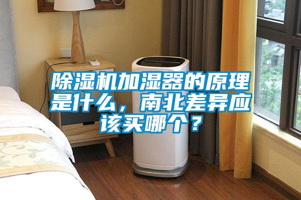 茄子视频懂你更多在线观看加湿器的原理是什么，南北差异应该买哪个？