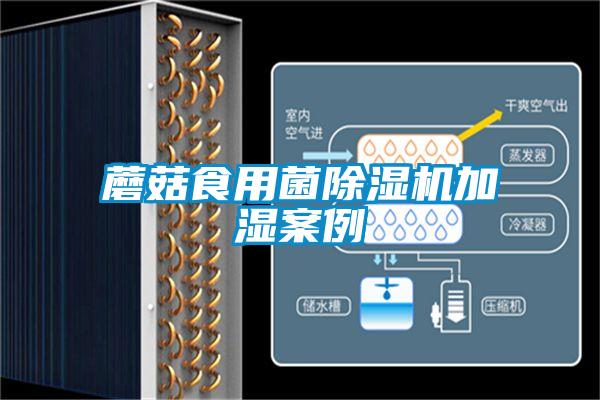 蘑菇食用菌茄子视频懂你更多在线观看加湿案例