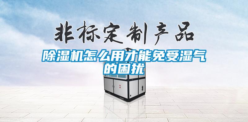 茄子视频懂你更多在线观看怎么用才能免受湿气的困扰