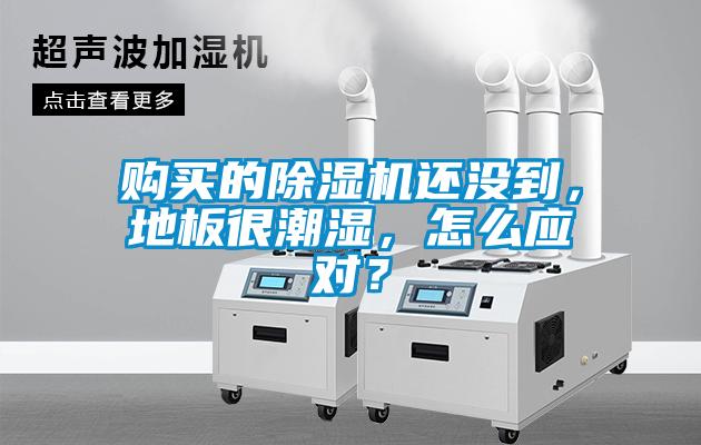 购买的茄子视频懂你更多在线观看还没到，地板很潮湿，怎么应对？