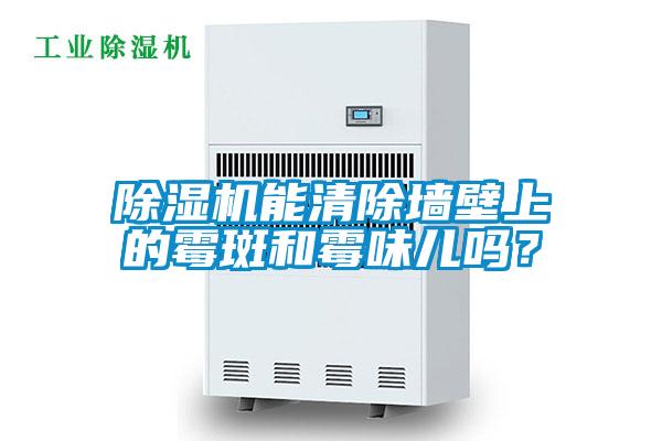 茄子视频懂你更多在线观看能清除墙壁上的霉斑和霉味儿吗？