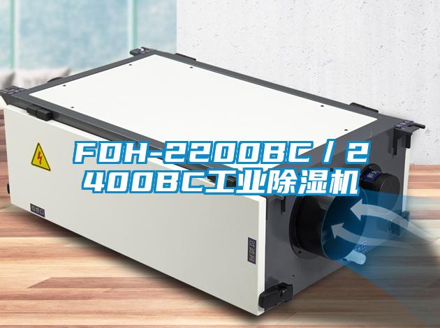 FDH-2200BC／2400BC工业茄子视频懂你更多在线观看